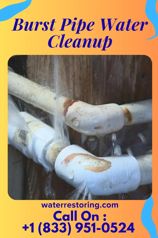 Burst Pipe Water Cleanup in Bon Air, TN