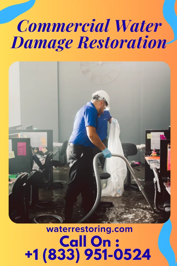 Commercial Water Damage Restoration in Bon Air, TN