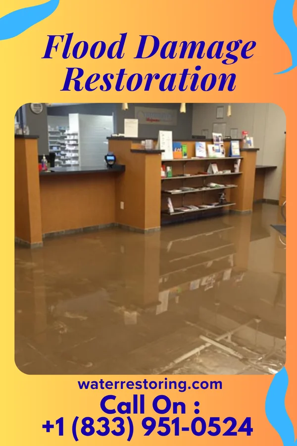 Flood Damage Restoration in Bon Air, TN