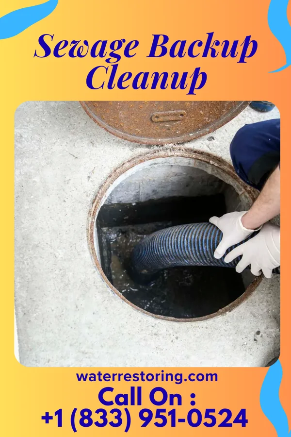 Sewage Backup Cleanup in Bon Air, TN