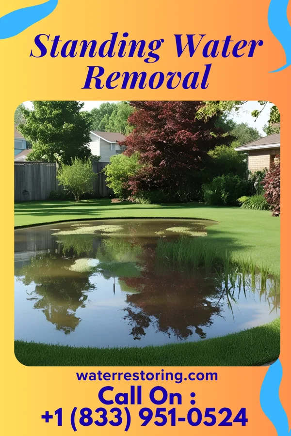Standing Water Removal in Bon Air, TN